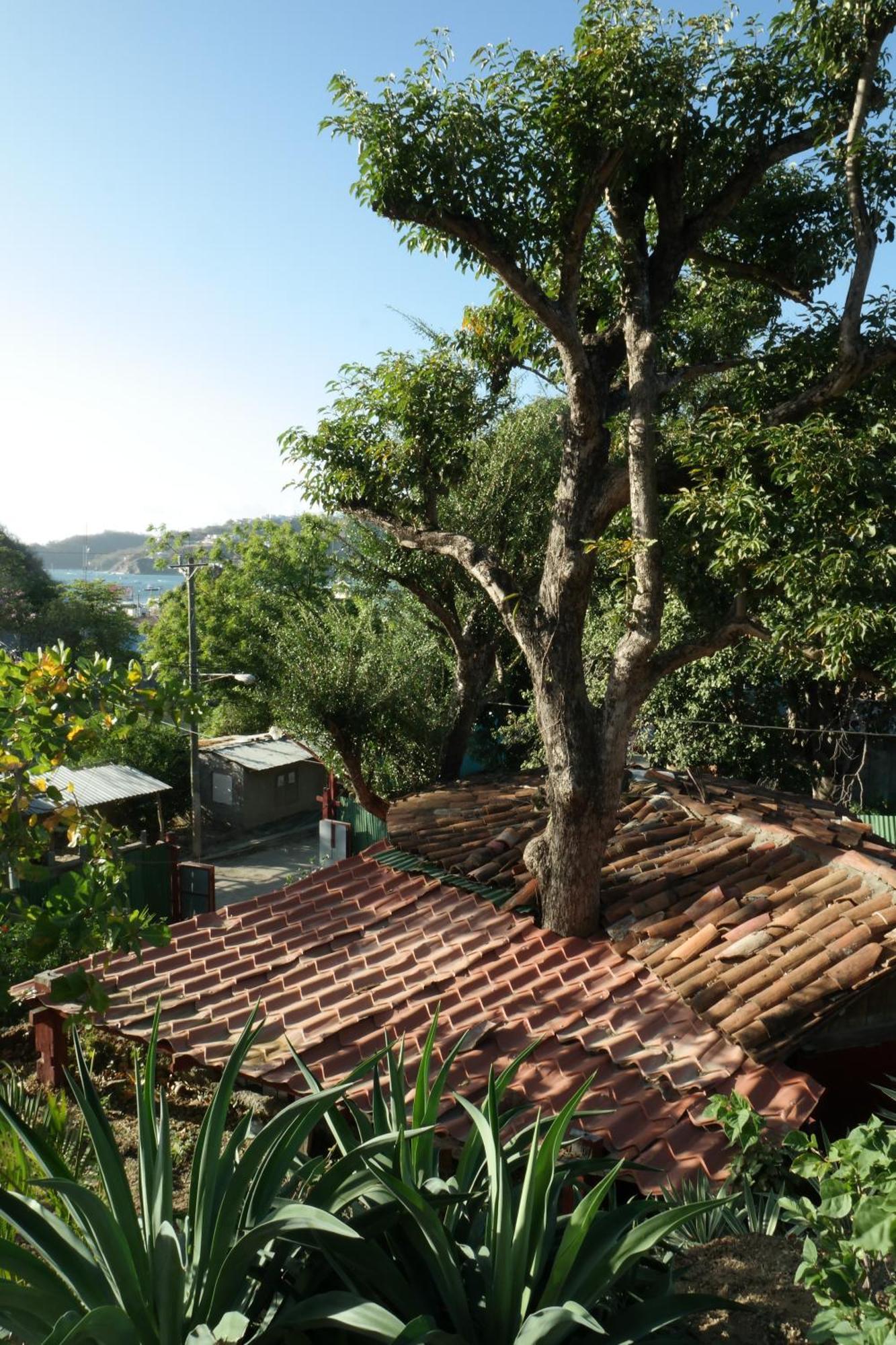 Cabañas Lobotepe, 1 bedroom cabin, 3 blocks from beach&center of San Juan San Juan del Sur Exterior foto