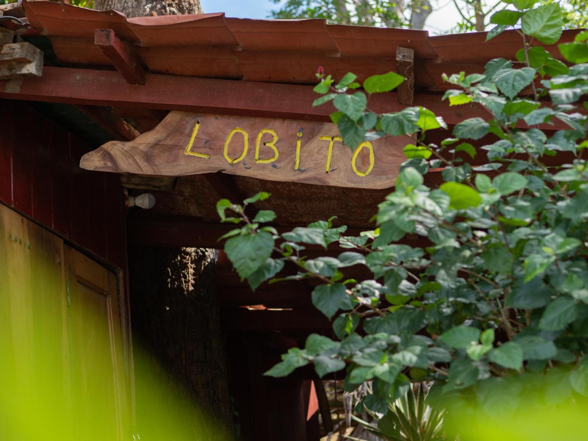 Cabañas Lobotepe, 1 bedroom cabin, 3 blocks from beach&center of San Juan San Juan del Sur Exterior foto